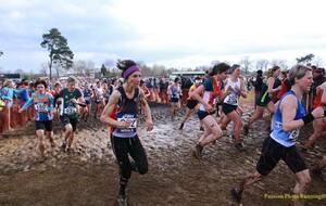 Cross USM