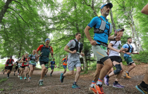 Le trail des Jasnières